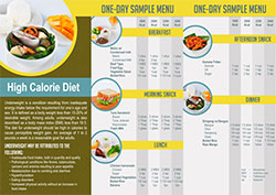 Brochures